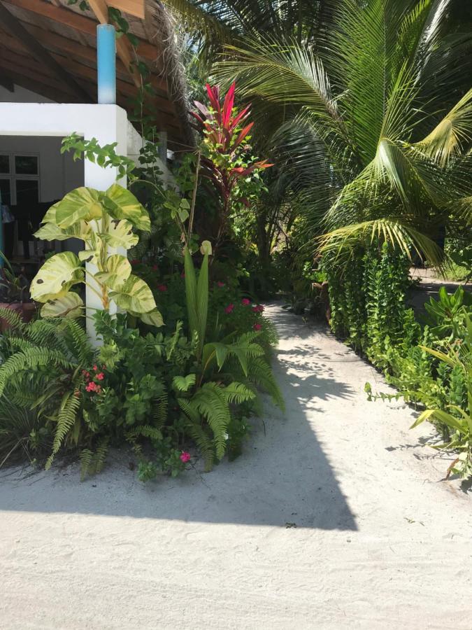 Malas Island View Hotel Fulidhoo Exterior photo