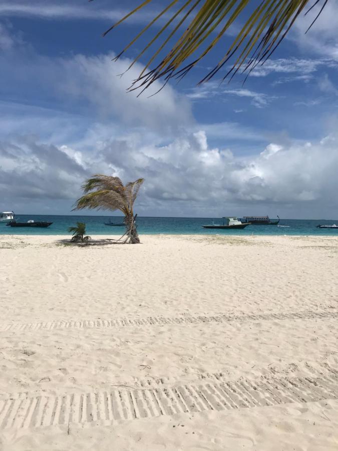 Malas Island View Hotel Fulidhoo Exterior photo