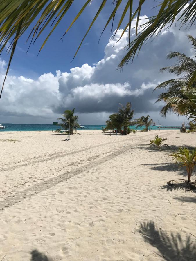 Malas Island View Hotel Fulidhoo Exterior photo