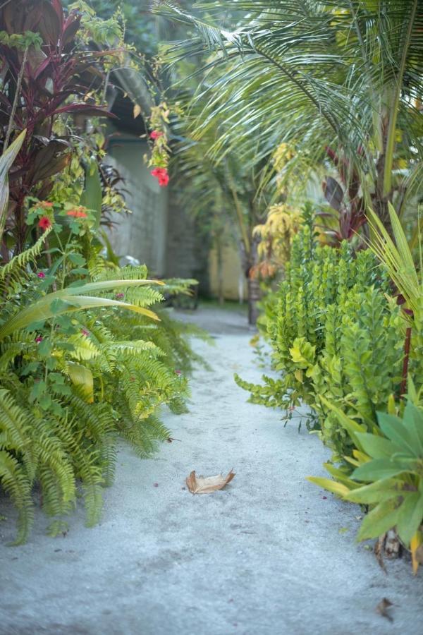 Malas Island View Hotel Fulidhoo Exterior photo