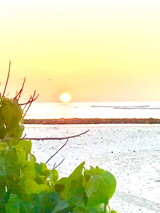 Malas Island View Hotel Fulidhoo Exterior photo