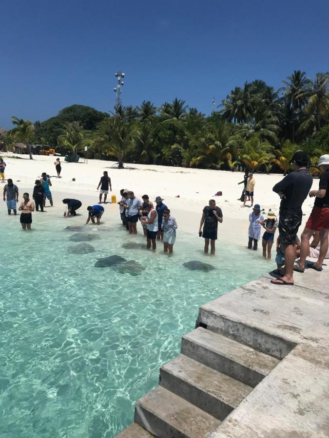 Malas Island View Hotel Fulidhoo Exterior photo